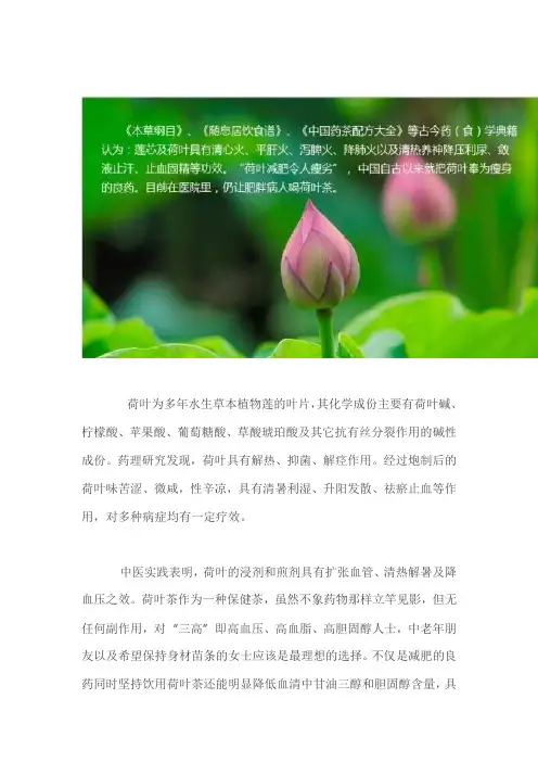 荷叶茶对中老年人群有哪些保健作用？