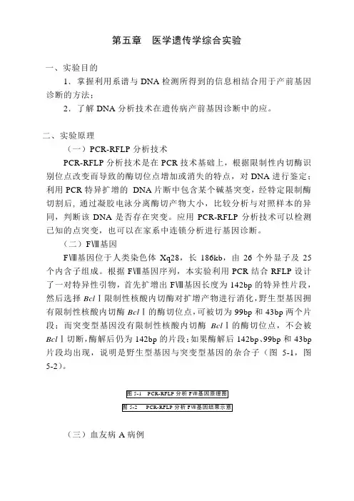 医学遗传学综合实验