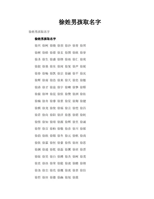 徐姓男孩取名字
