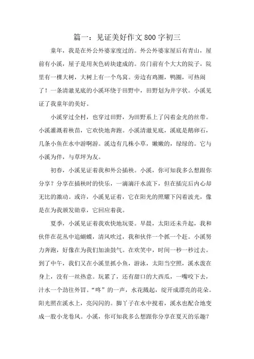 见证美好作文800字初三