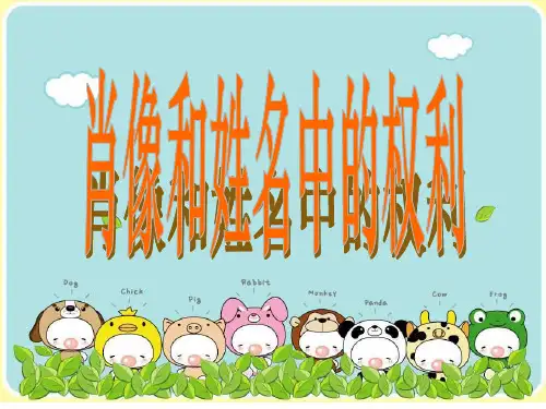 《肖像和姓名中的权利》(共28张PPT)
