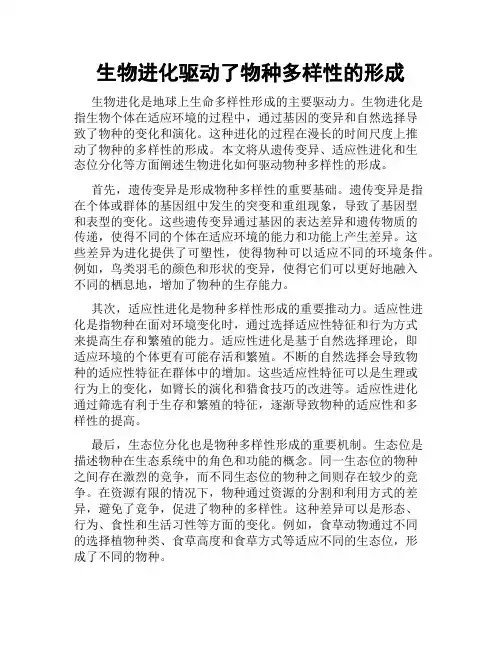 生物进化驱动了物种多样性的形成