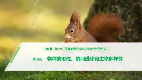 人教生物必修二 种群基因组成的变化与物种的形成 生物的进化(第2课时物种的形成协同进化和生物多样性)
