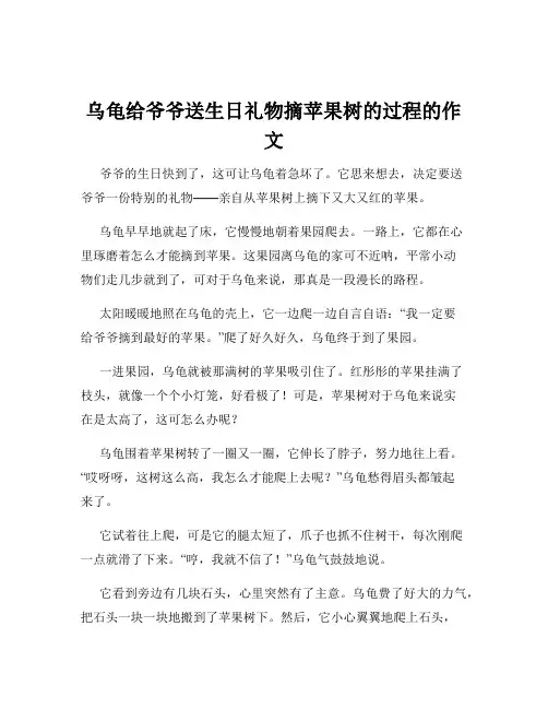 乌龟给爷爷送生日礼物摘苹果树的过程的作文