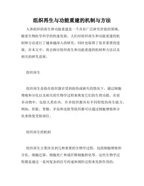 组织再生与功能重建的机制与方法