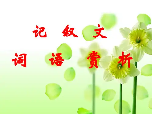 赏析记叙文词语PPT课件
