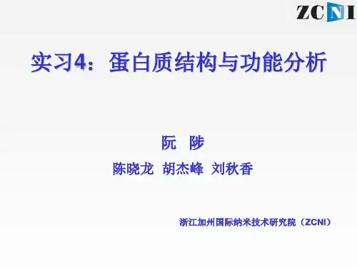 蛋白质结构与功能预测