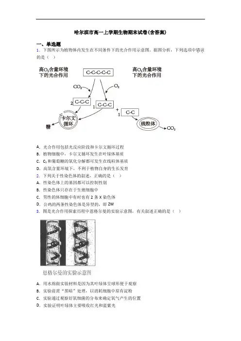 哈尔滨市高一上学期生物期末试卷(含答案)