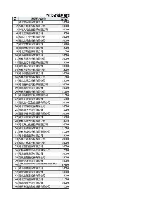 河北省最新融资性担保公司名录