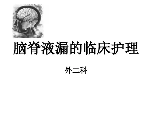 脑脊液漏的护理ppt