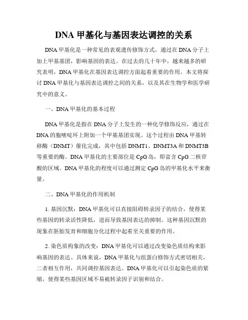 DNA甲基化与基因表达调控的关系