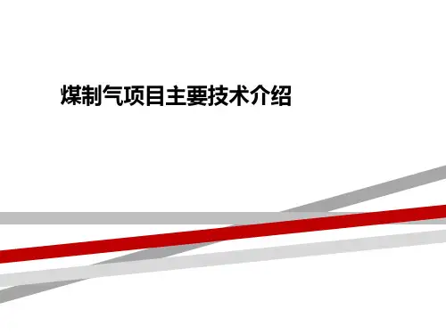 煤制气项目主要技术介绍