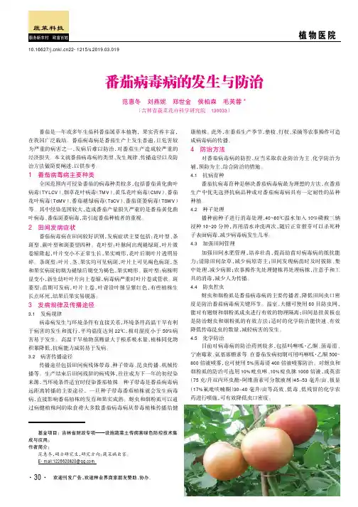 番茄病毒病的发生与防治