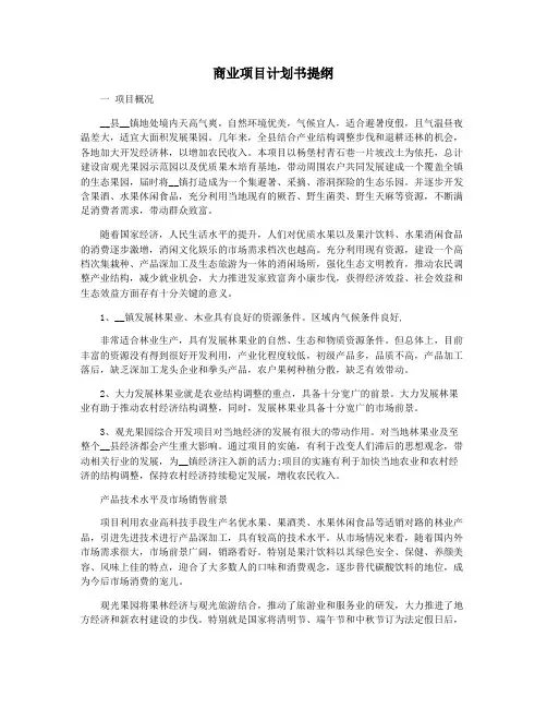 商业项目计划书提纲