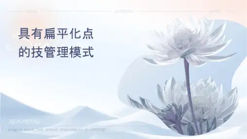 具有扁平化专业化特点的技术管理模式探讨课件