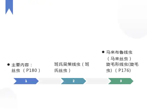 寄生虫学-旋毛形线虫