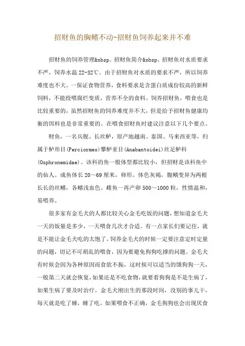 招财鱼的胸鳍不动-招财鱼饲养起来并不难