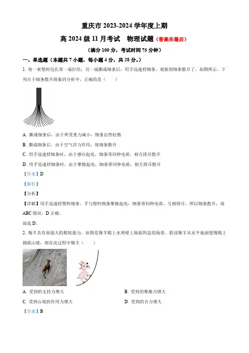 重庆市2023-2024学年高三上学期11月月考物理试题含解析