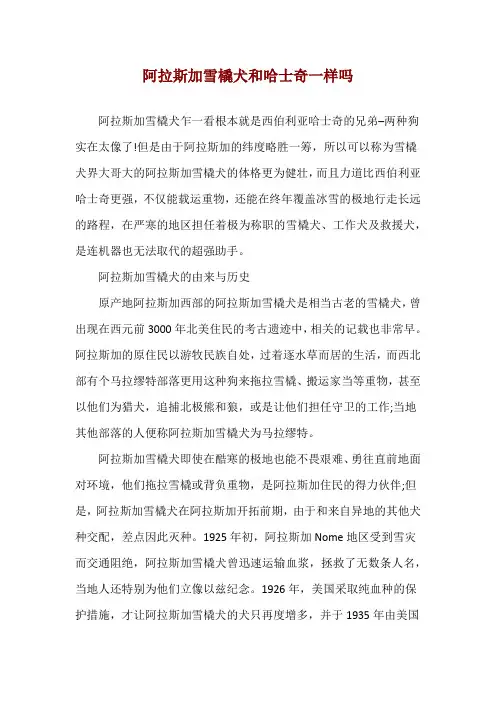阿拉斯加雪橇犬和哈士奇一样吗