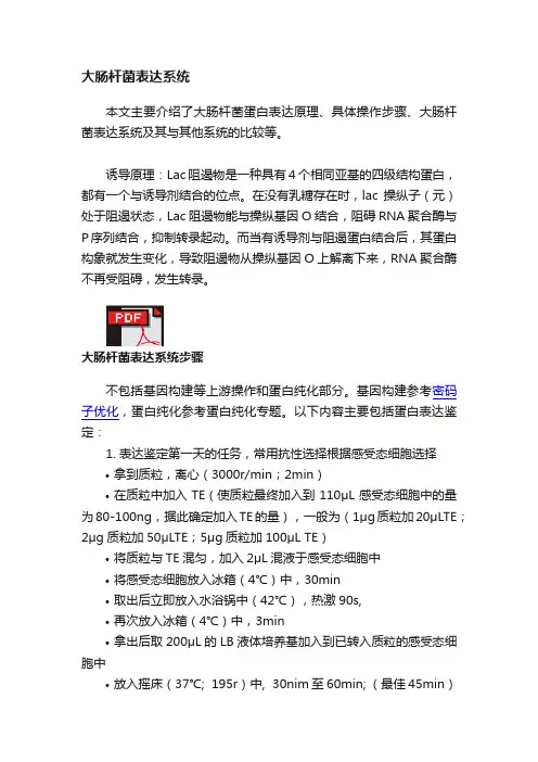 大肠杆菌表达系统