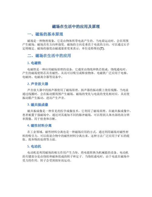 磁场在生活中的应用及原理