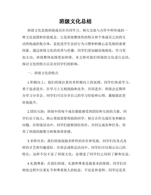 班级文化总结