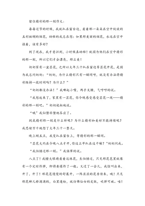 留住精彩的那一刻作文