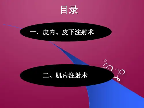 注射技术应用解剖课件