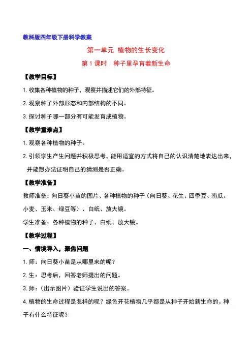 教科版四年级下册科学1.1种子里孕育着新生命教案