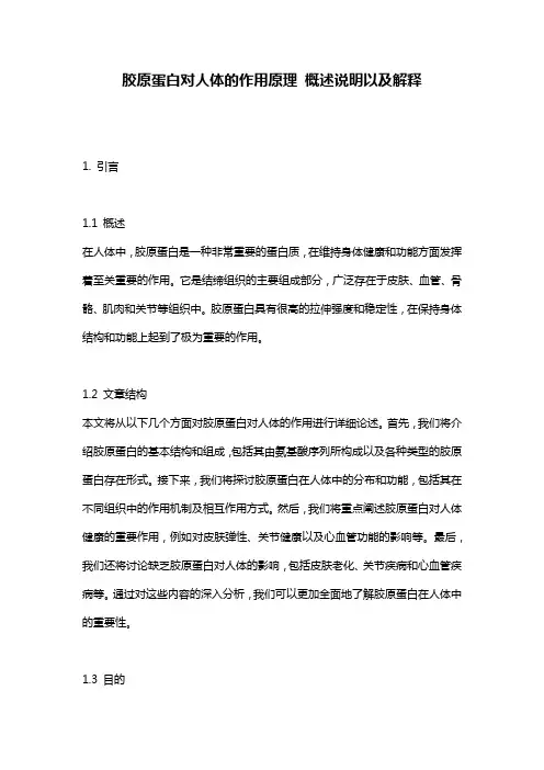 胶原蛋白对人体的作用原理_概述说明以及解释