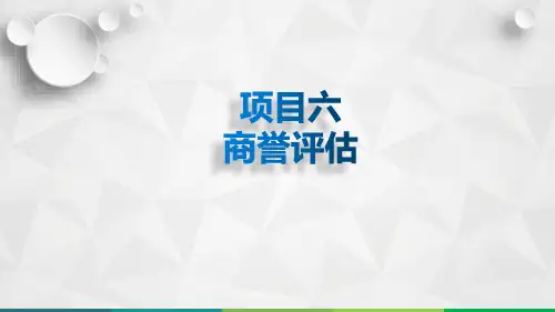 无形资产评估项目六商誉评估