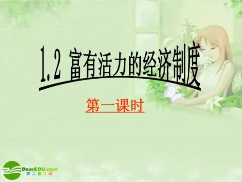 1.2  富有活力的经济制度 第一课时