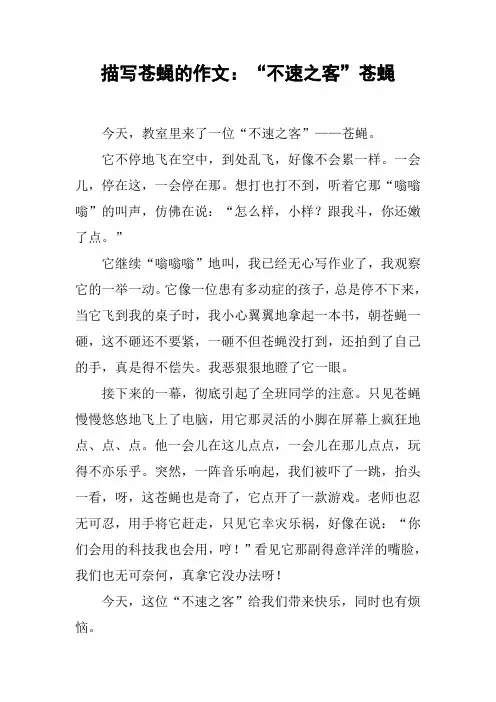 描写苍蝇的作文：“不速之客”苍蝇