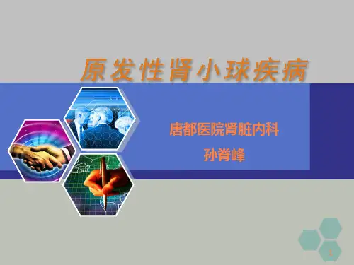 原发性肾小球疾病-精品ppt课件