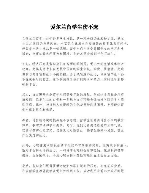 爱尔兰留学生伤不起