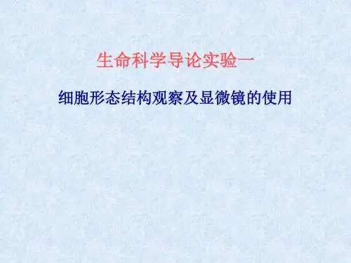 生命科学导论实验