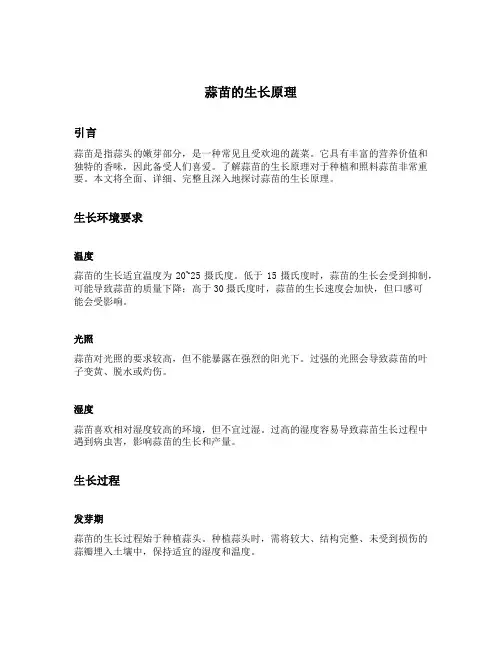 蒜苗的生长原理