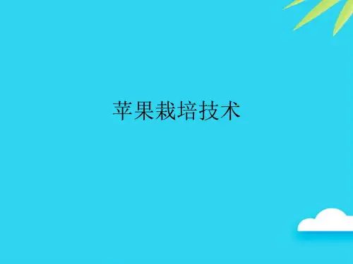 【正式版】苹果栽培技术PPT