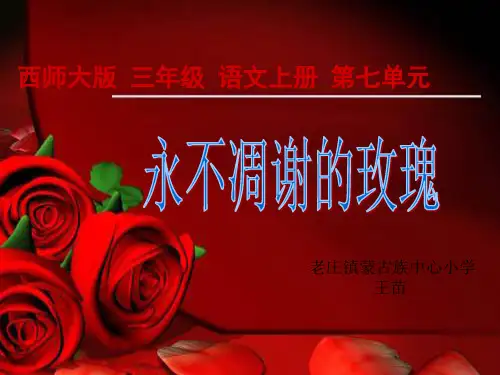 永不凋谢的玫瑰