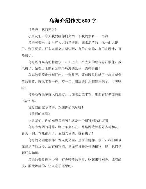 乌海介绍作文500字