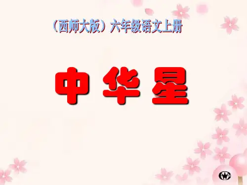 《中华星》课件3