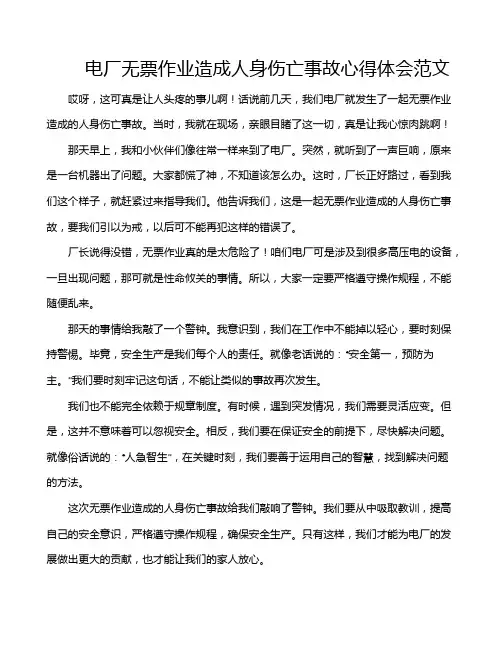 电厂无票作业造成人身伤亡事故心得体会范文
