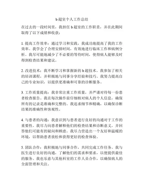 b超室个人工作总结
