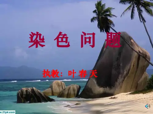染色问题完整ppt课件
