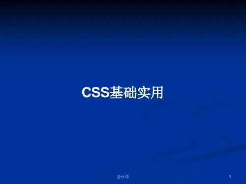 CSS基础实用PPT学习教案