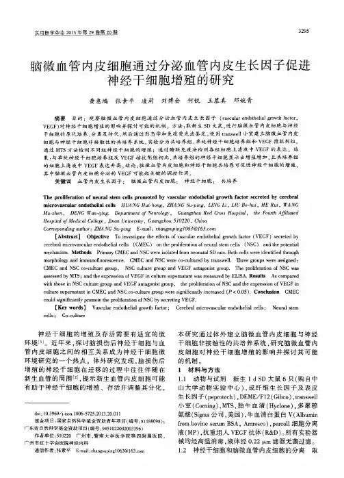 脑微血管内皮细胞通过分泌血管内皮生长因子促进神经干细胞增殖的研究