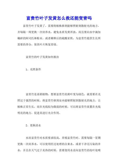 富贵竹叶子发黄怎么救还能变青吗