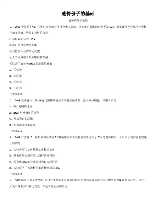 2020届高三高考生物专题易错强化：遗传的分子基础