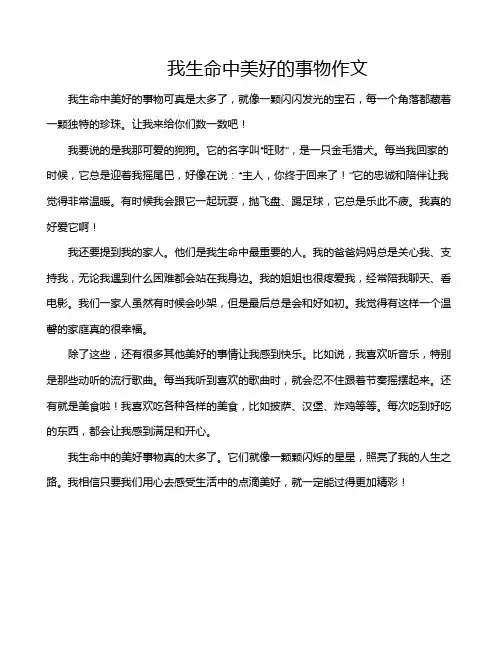 我生命中美好的事物作文