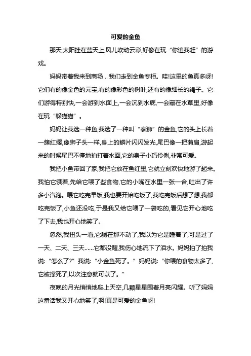 《可爱的金鱼》优秀作文范文